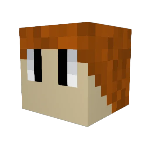 Sushiso Minecraft avatar head, 3D render