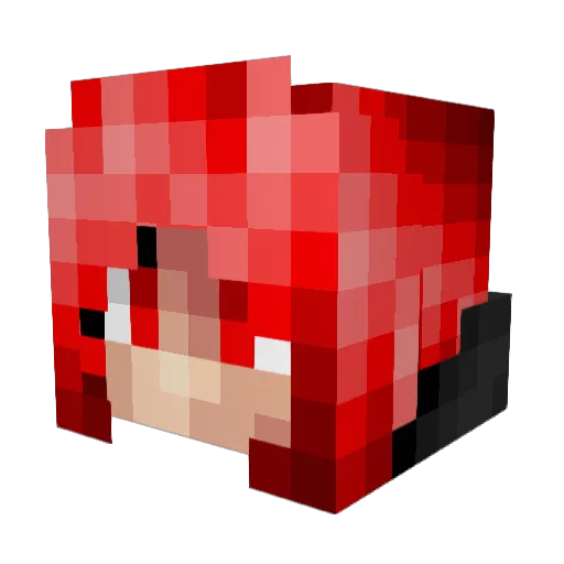 Susi_ Minecraft avatar head, 3D render