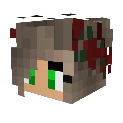 Susiq2 Minecraft avatar head, 3D render