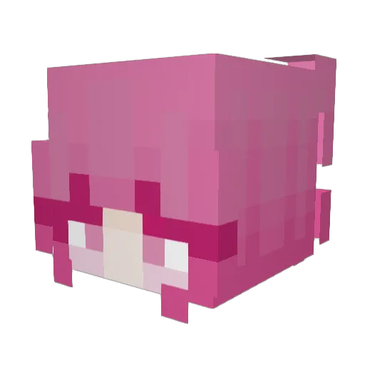 Suskiia Minecraft avatar head, 3D render