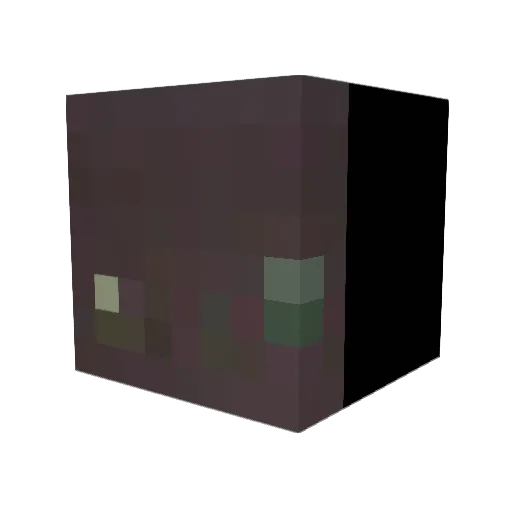 SuskunRG Minecraft avatar head, 3D render
