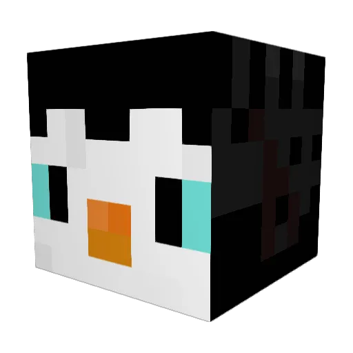 Suslilpenguin Minecraft avatar head, 3D render