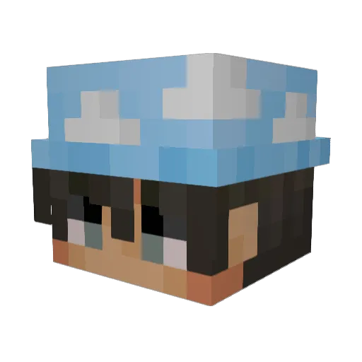 Suspecial Minecraft avatar head, 3D render