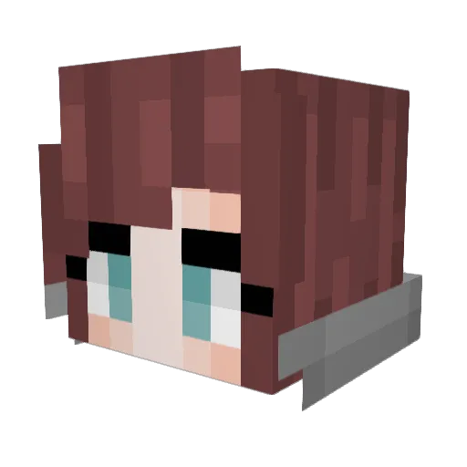 SuspiciousNoodle Minecraft avatar head, 3D render