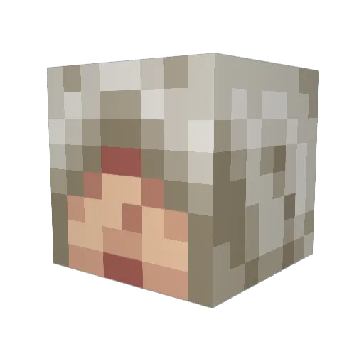 Suspictus Minecraft avatar head, 3D render