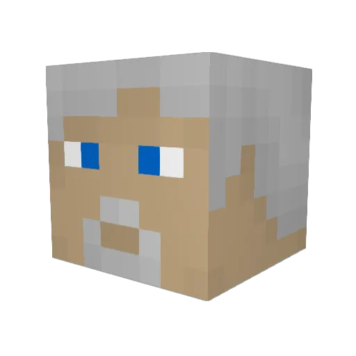 Susskins Minecraft avatar head, 3D render