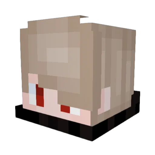 Sussskey Minecraft avatar head, 3D render