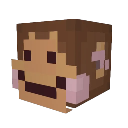 SussyJr Minecraft avatar head, 3D render
