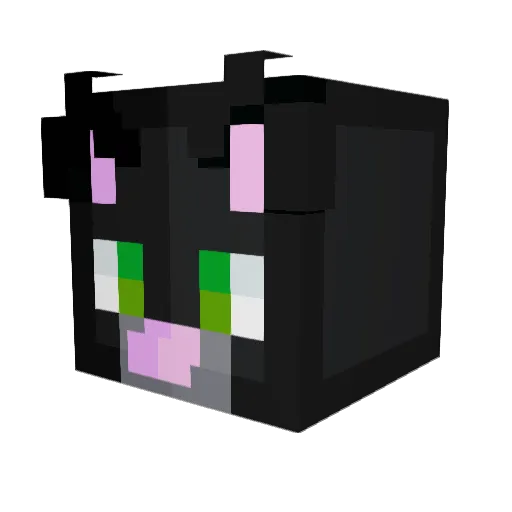 Susthecat Minecraft avatar head, 3D render