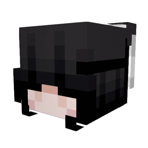 Sustomato Minecraft avatar head, 3D render