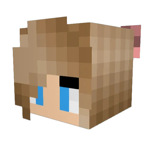 Susu4719 Minecraft avatar head, 3D render