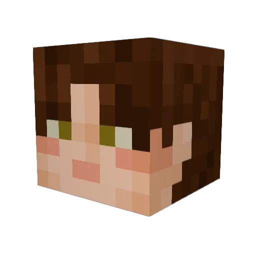 SusyVixen Minecraft avatar head, 3D render