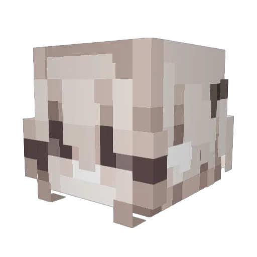 Suthrowsy Minecraft avatar head, 3D render
