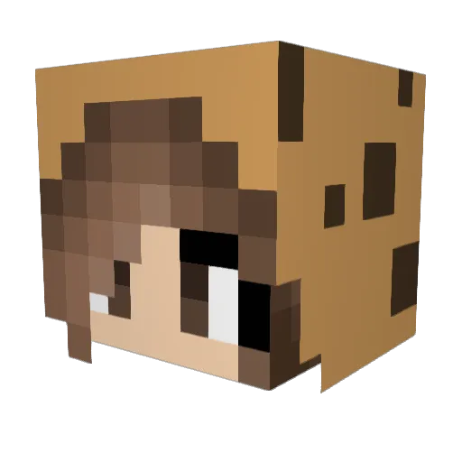 Suti006 Minecraft avatar head, 3D render