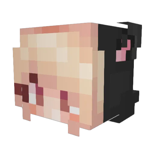 Sutuyul Minecraft avatar head, 3D render