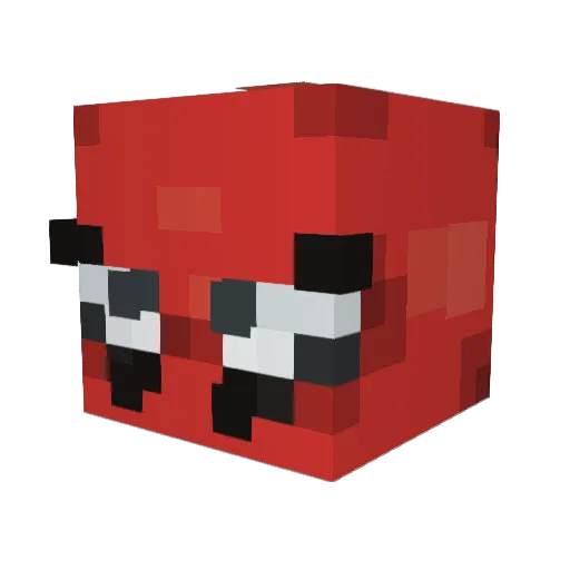 SuuWhooopp Minecraft avatar head, 3D render