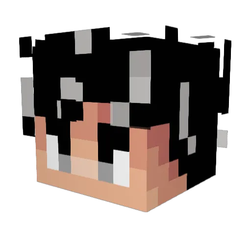 Suultano Minecraft avatar head, 3D render