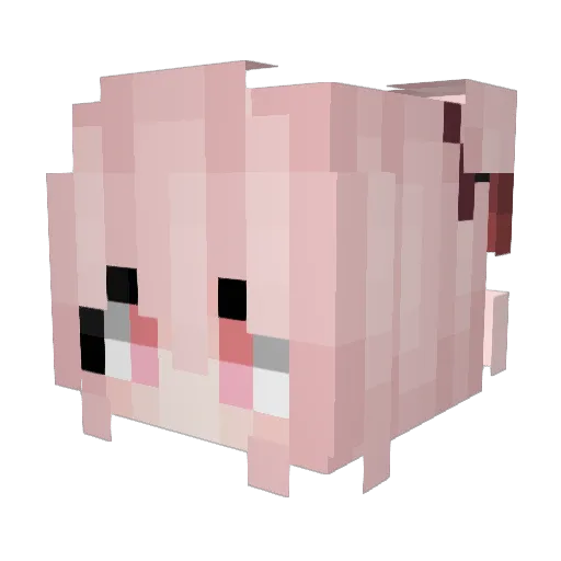 Suunkay Minecraft avatar head, 3D render