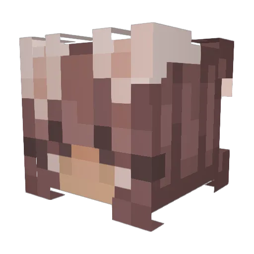 Suunsee Minecraft avatar head, 3D render