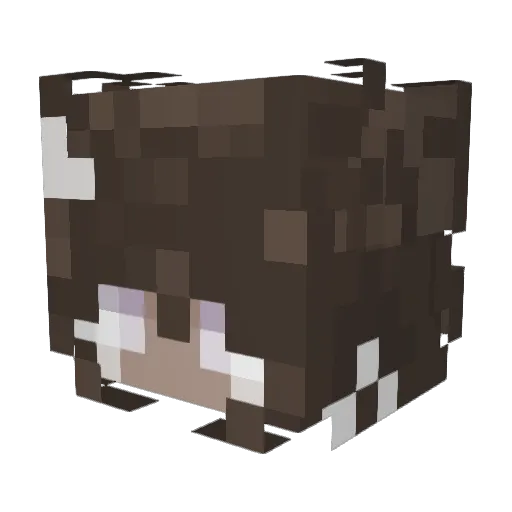 Suunyu Minecraft avatar head, 3D render