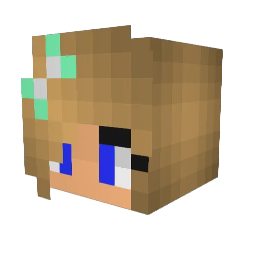 Suus1204 Minecraft avatar head, 3D render