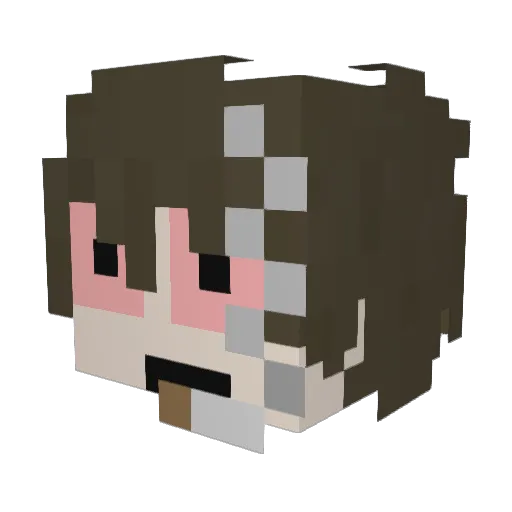 Suus240 Minecraft avatar head, 3D render