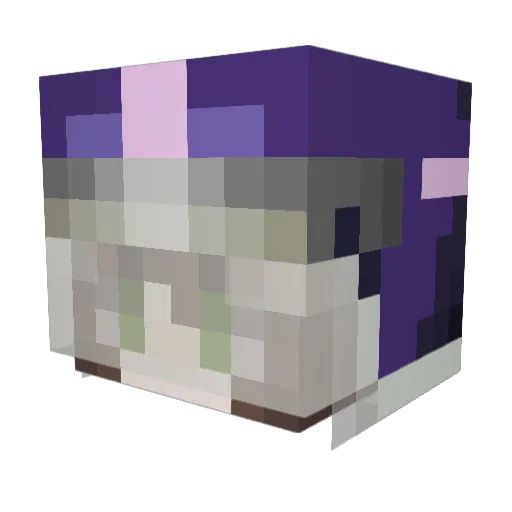 Suus2punt0 Minecraft avatar head, 3D render
