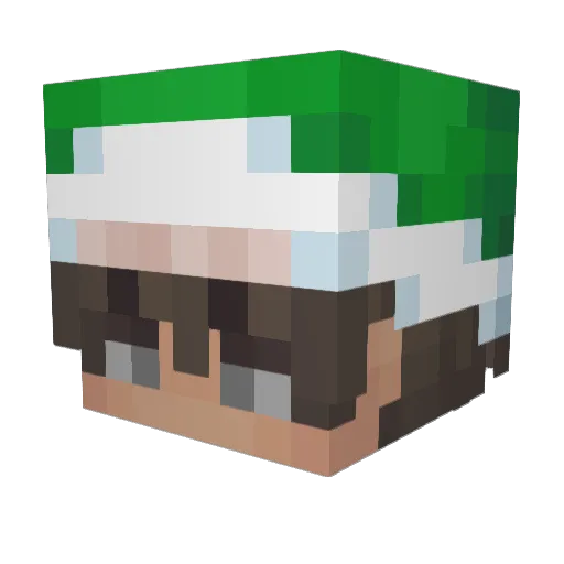 SuuuLix Minecraft avatar head, 3D render