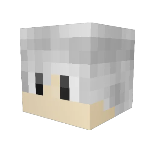 Suuuuu5 Minecraft avatar head, 3D render
