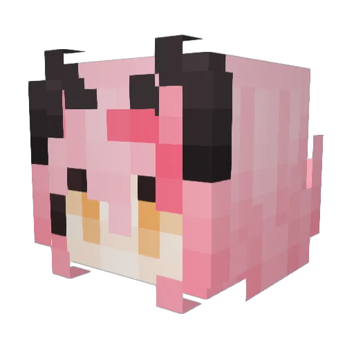 Suvin0920 Minecraft avatar head, 3D render