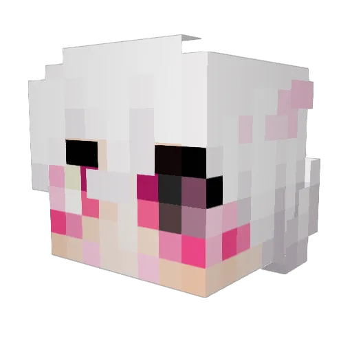 SuvyCat Minecraft avatar head, 3D render