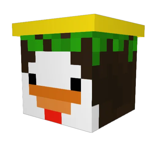 Suwam Minecraft avatar head, 3D render