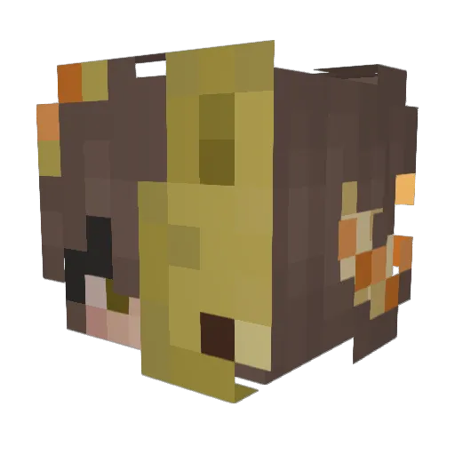 Suwp707 Minecraft avatar head, 3D render