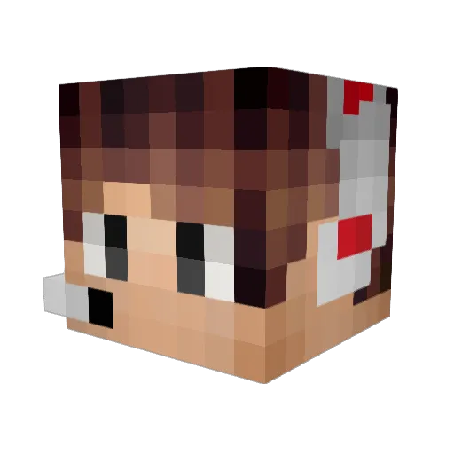 SuxForYouNerd Minecraft avatar head, 3D render