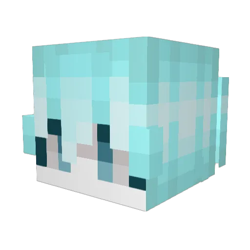 Suxhin Minecraft avatar head, 3D render