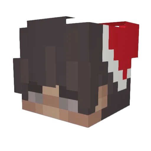SuxsForYouNerd Minecraft avatar head, 3D render