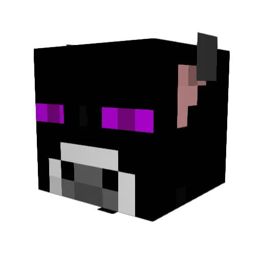 SuxxBro Minecraft avatar head, 3D render