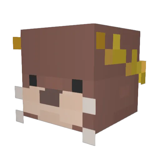 Suzamoon Minecraft avatar head, 3D render