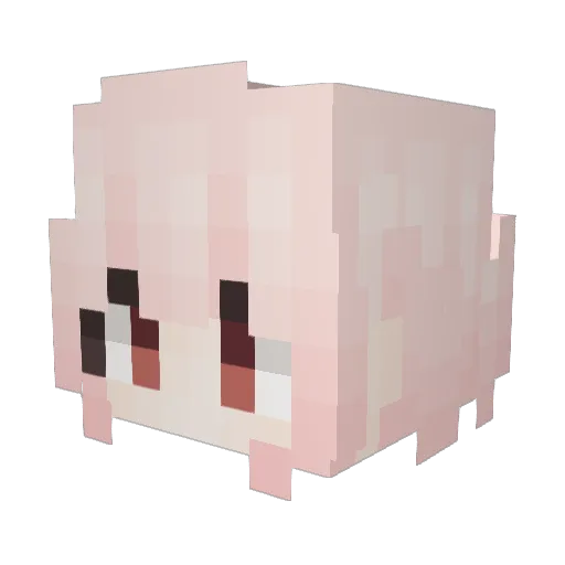 Suzhi_ Minecraft avatar head, 3D render