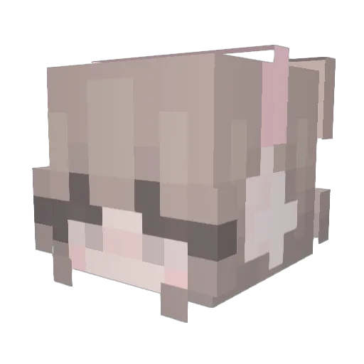 Suzhii Minecraft avatar head, 3D render