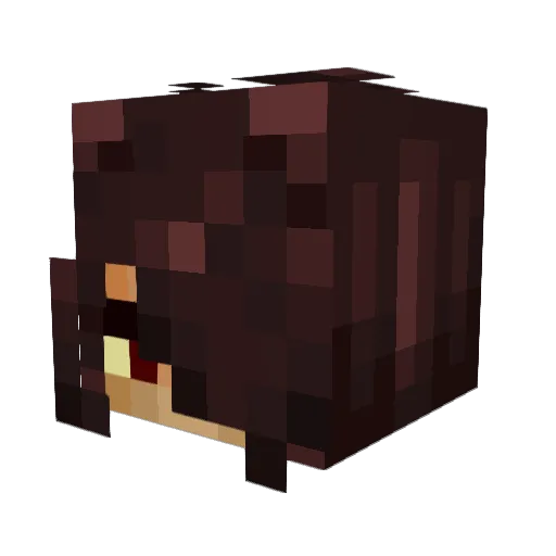 SuzieHearts Minecraft avatar head, 3D render