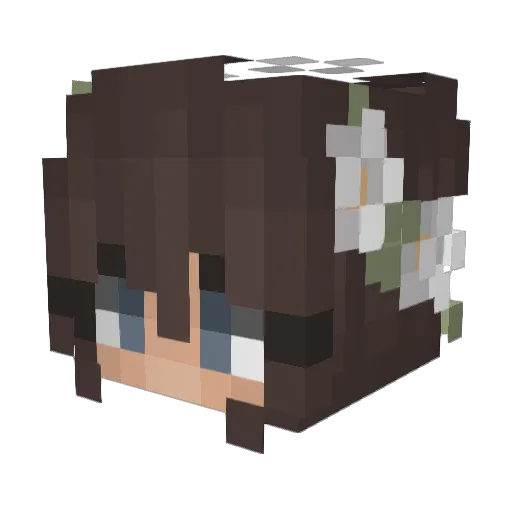 Suzius Minecraft avatar head, 3D render
