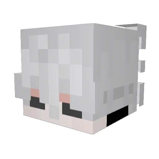 Suzuki3cas Minecraft avatar head, 3D render