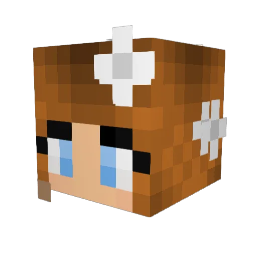 Suzy_Okay Minecraft avatar head, 3D render