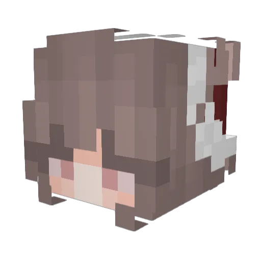 Suzyzuzy Minecraft avatar head, 3D render