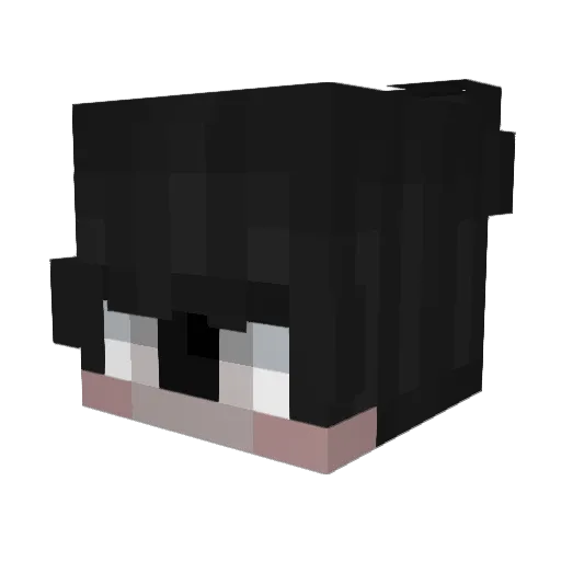 Sv2Frost1vy Minecraft avatar head, 3D render