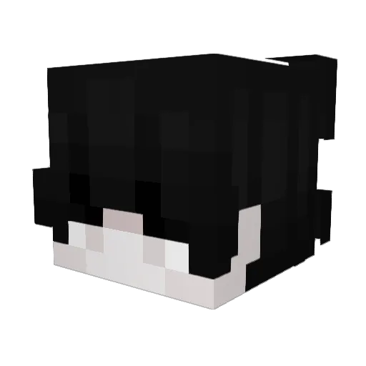 Sv2_Void_thu Minecraft avatar head, 3D render