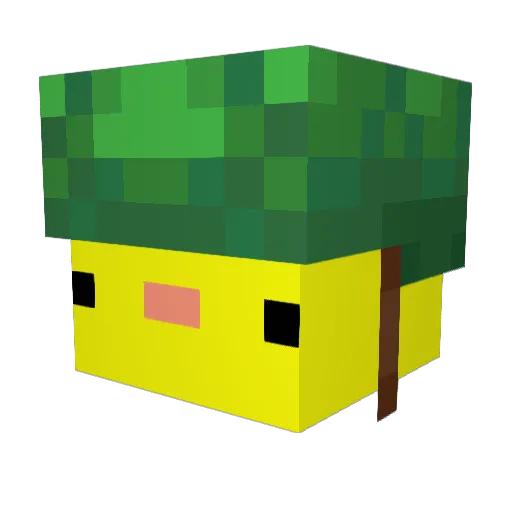 SvIdM Minecraft avatar head, 3D render