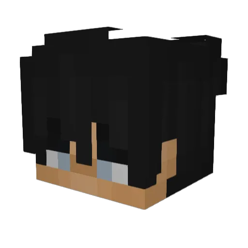 Svbbbb Minecraft avatar head, 3D render