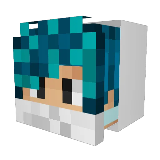 Sven114 Minecraft avatar head, 3D render
